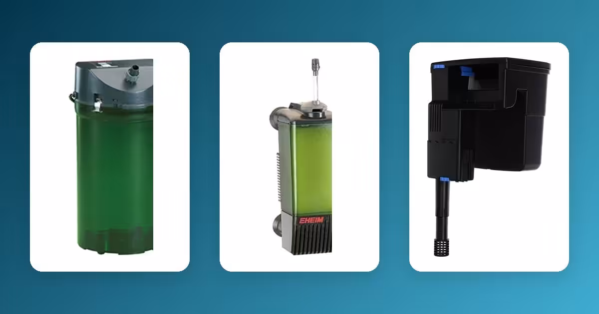 What Size Aquarium Filter Do You Need? A Turnover-Rate Guide for Every Tank Size What Size Aquarium Filter Do You Need? A Turnover-Rate Guide for Every Tank Size