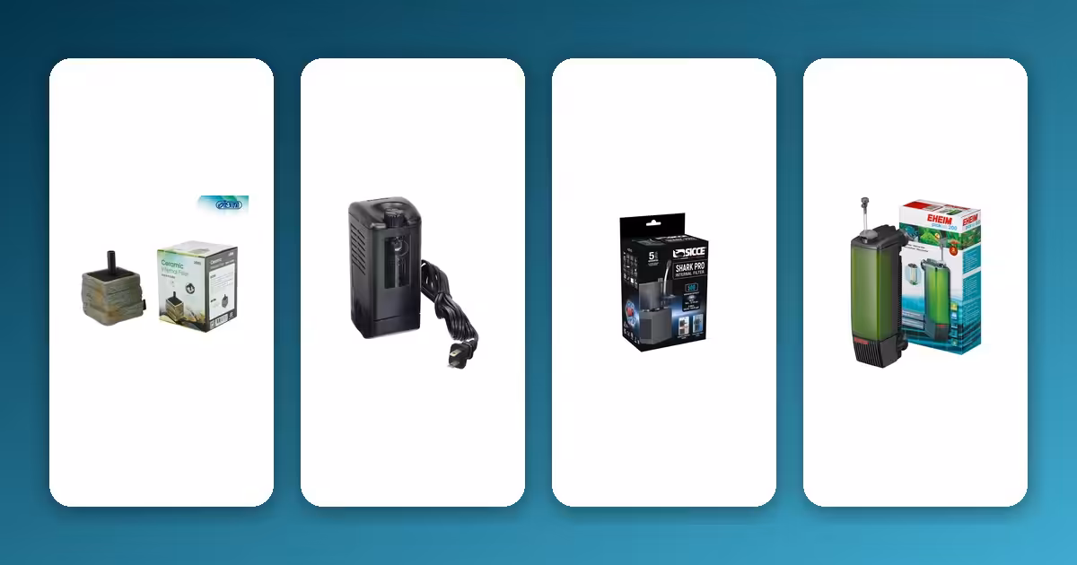 Top Factors to Consider Before Buying an Aquarium Filtration System Top Factors to Consider Before Buying an Aquarium Filtration System