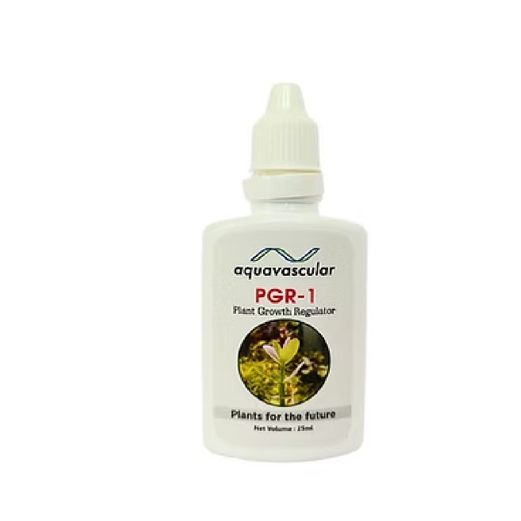 Aquavascular PGR1 Aquavascular PGR1