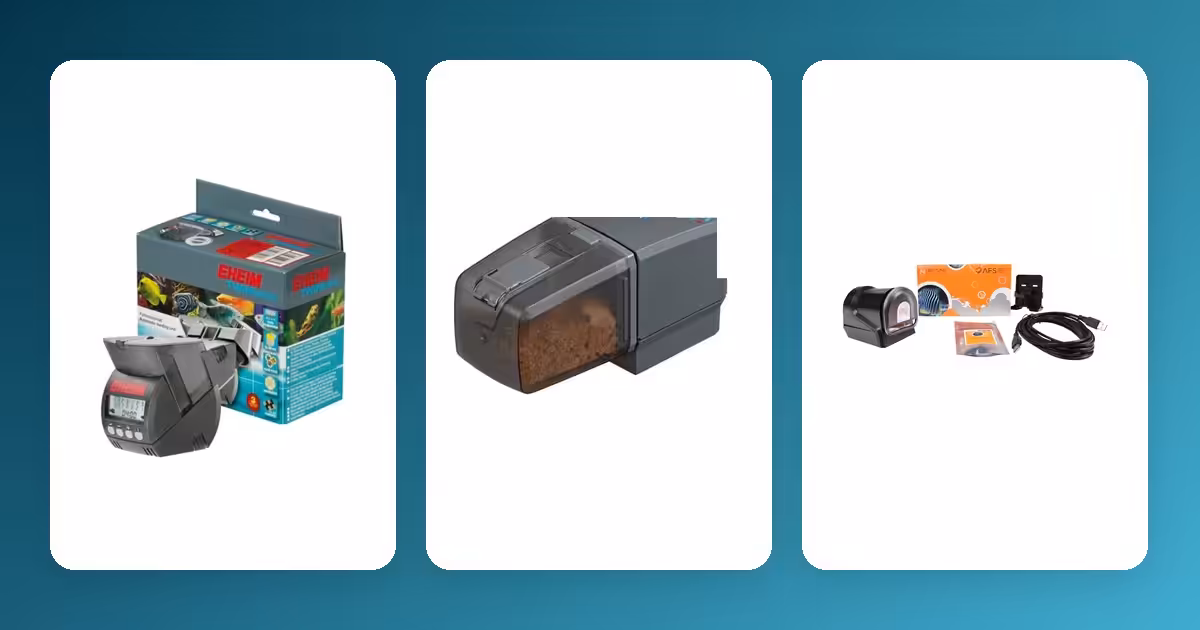 Automatic Fish Feeder Guide: Do You Need One, and Which Type? Automatic Fish Feeder Guide: Do You Need One, and Which Type?