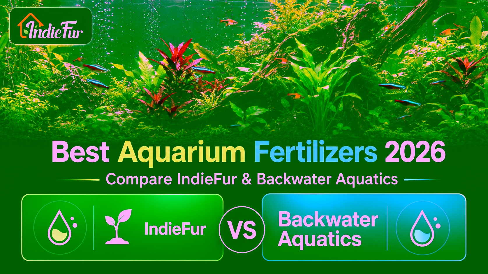 Best Aquarium Fertilizers 2026