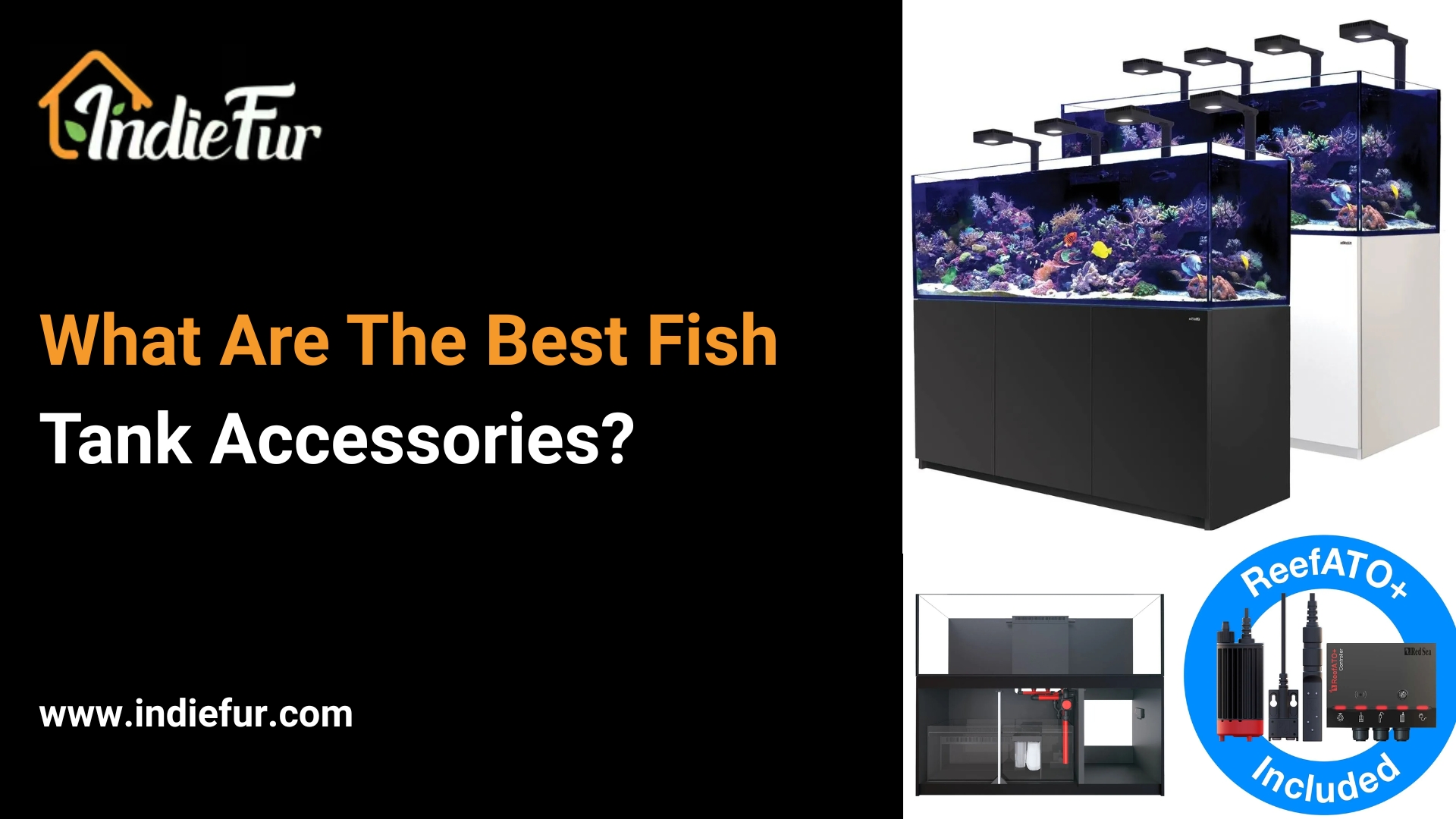 What Are The Best Fish Tank Accessories? Best Fish Tank Accessories