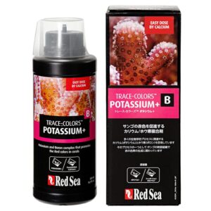 Red Sea Coral Color B