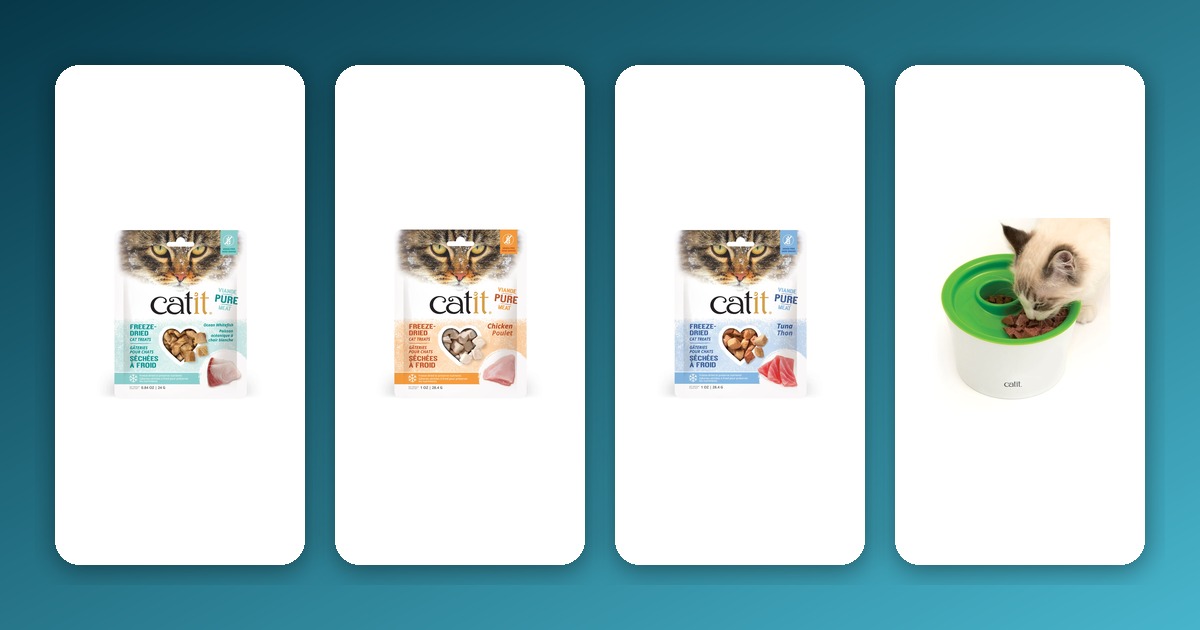 How to Select the Right Diet Based on Your Cat’s Age and Lifestyle? Gradient background with Catit freeze-dried ocean whitefish, chicken, and tuna cat treats, and Catit Senses Multi Feeder 2.0 on white cards