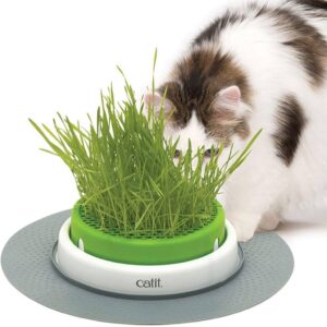 Catit Design Senses Grass Garden Kit