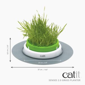 Catit Design Senses Grass Garden Kit