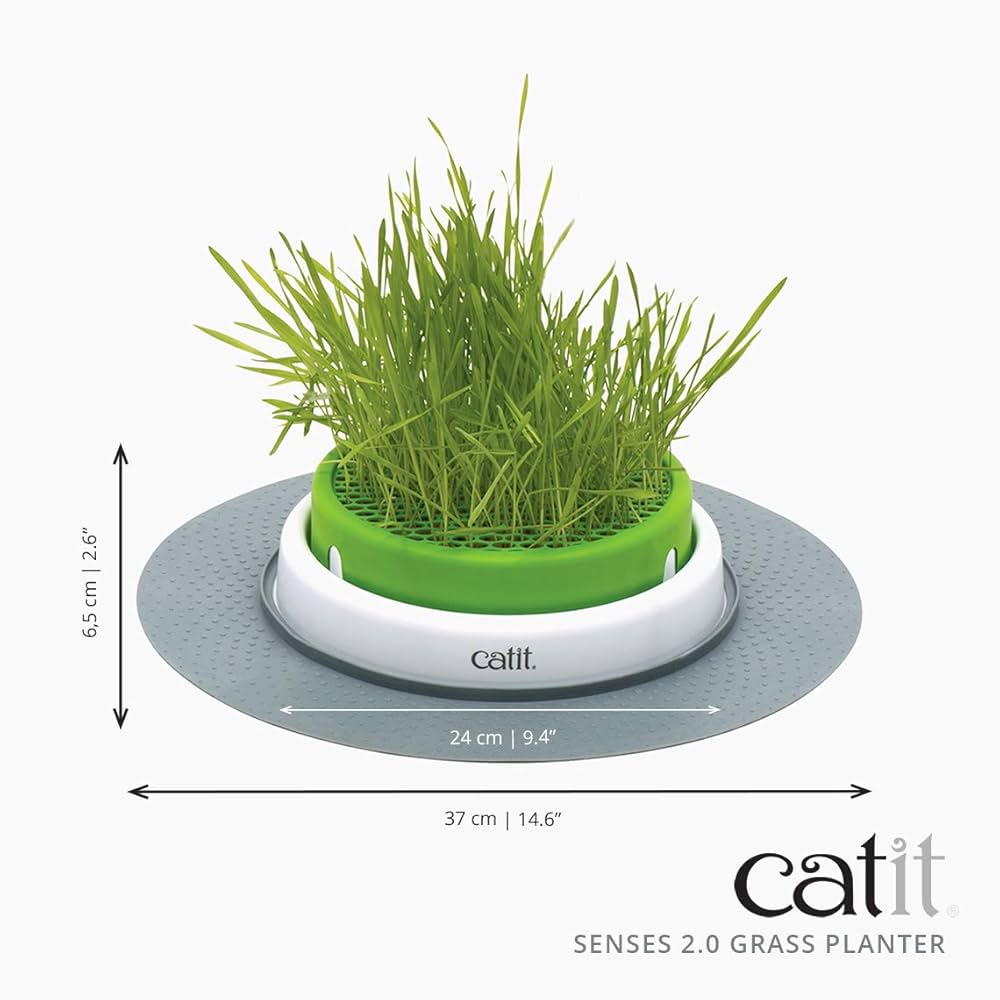 Catit Design Senses Grass Garden Kit Catit Design Senses Grass Garden Kit