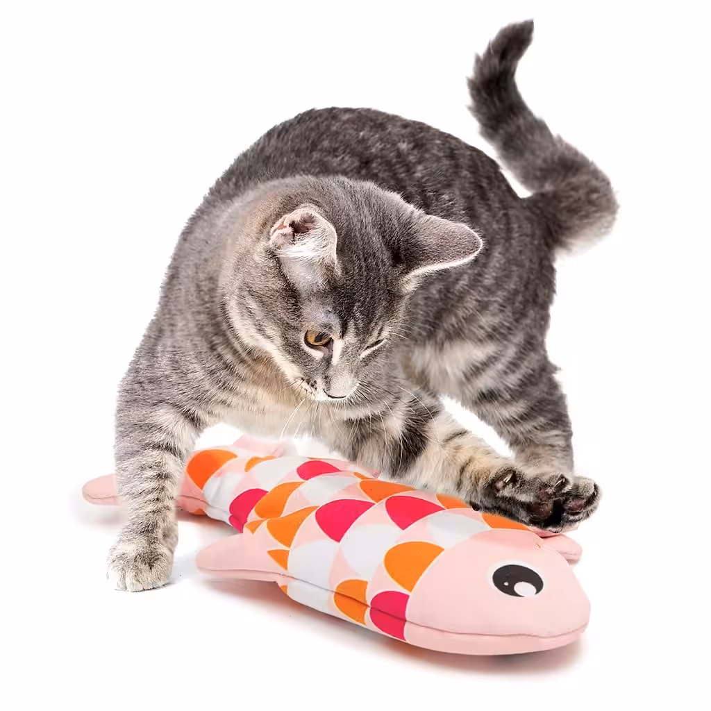 IndieFur - Branded Online Aquarium Store in India. Catit Groovy Fish - Pink