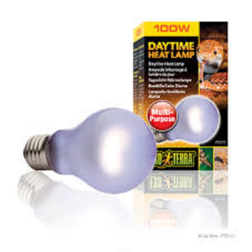 Exo Terra Day Glow Neodymium Bulb - V 100 Watt Exo Terra Day Glow Neodymium Bulb - V 100 Watt