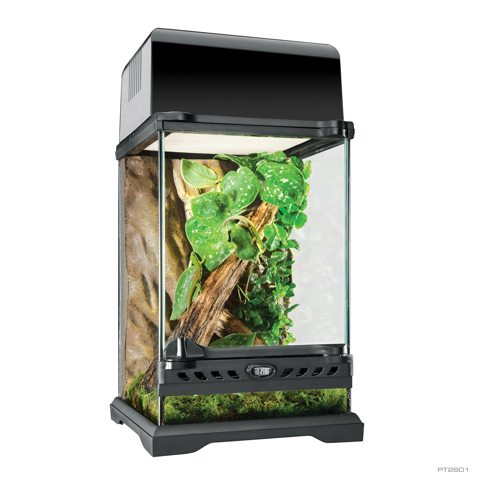 Exoterra Natural Terrarium Nano Tall 8″WX8″Dx12″H 20 × 20 × 30 cm