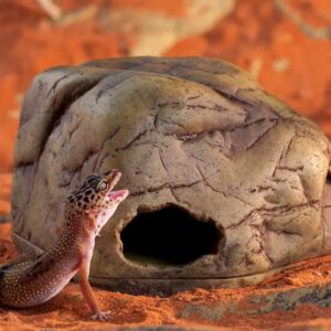 Exoterra Tortoise Skeleton Secure Hiding Place