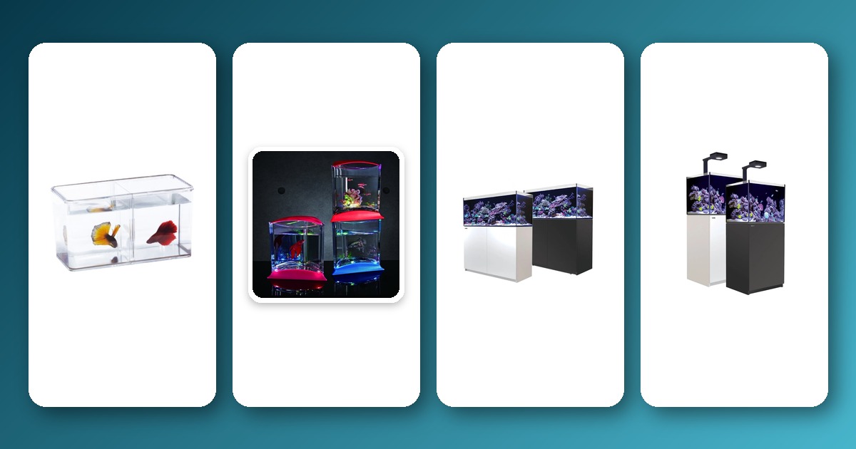 Fish Aquarium: A Complete Guide to Buying, Setting Up, and Maintaining Your Aquarium Aquarium setup essentials product collage on teal gradient background