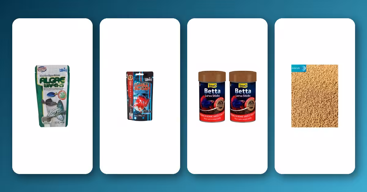 How to Buy Fish Food Online: A Complete Shopping Guide How to Buy Fish Food Online: A Complete Shopping Guide
