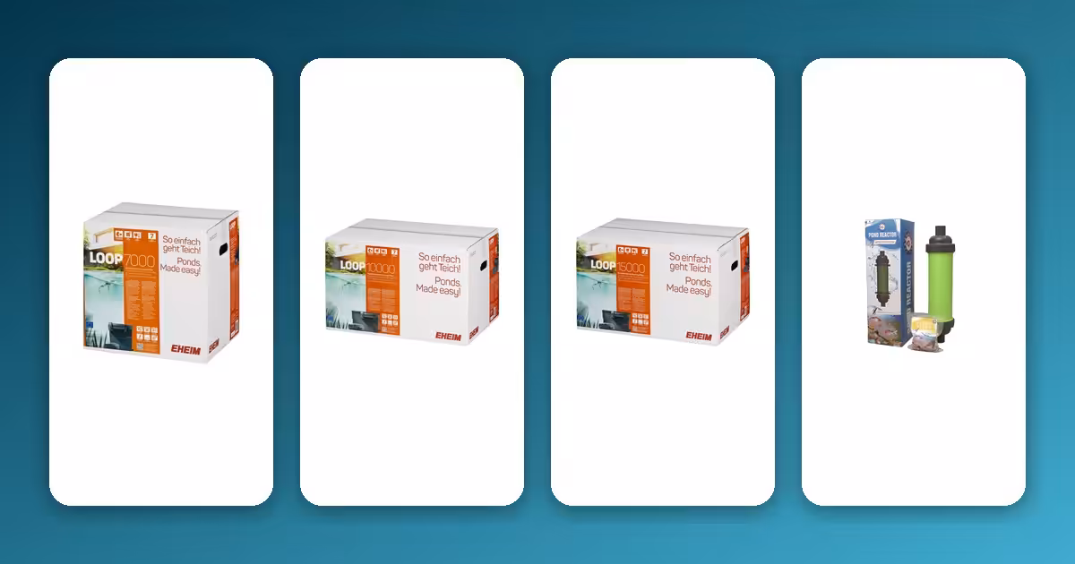 How to Choose the Right Filtration System for a Healthy Fish Pond? How to Choose the Right Filtration System for a Healthy Fish Pond?
