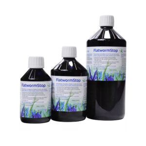 Korallen-Zucht Flatworm Stop