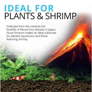 Fluval Plant and Shrimp Stratum 4 Kg