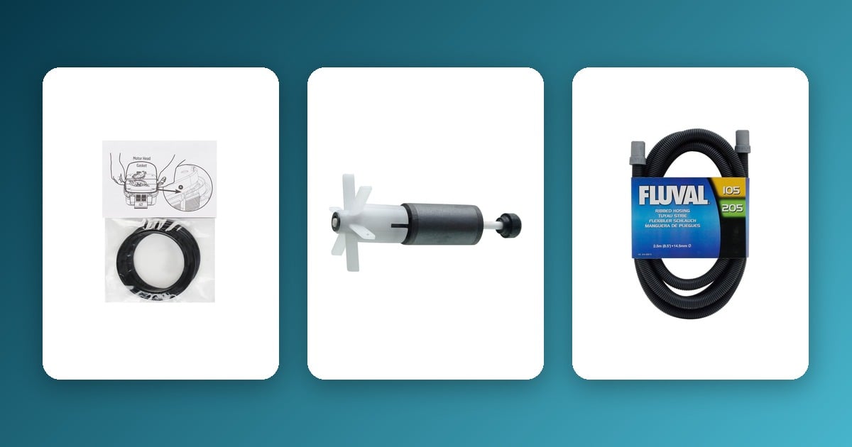 Fluval 106 vs 206 vs 306 Discontinued: What Replaced Them, Compared Fluval motor head gasket, magnetic impeller and ribbed hosing on a teal gradient background