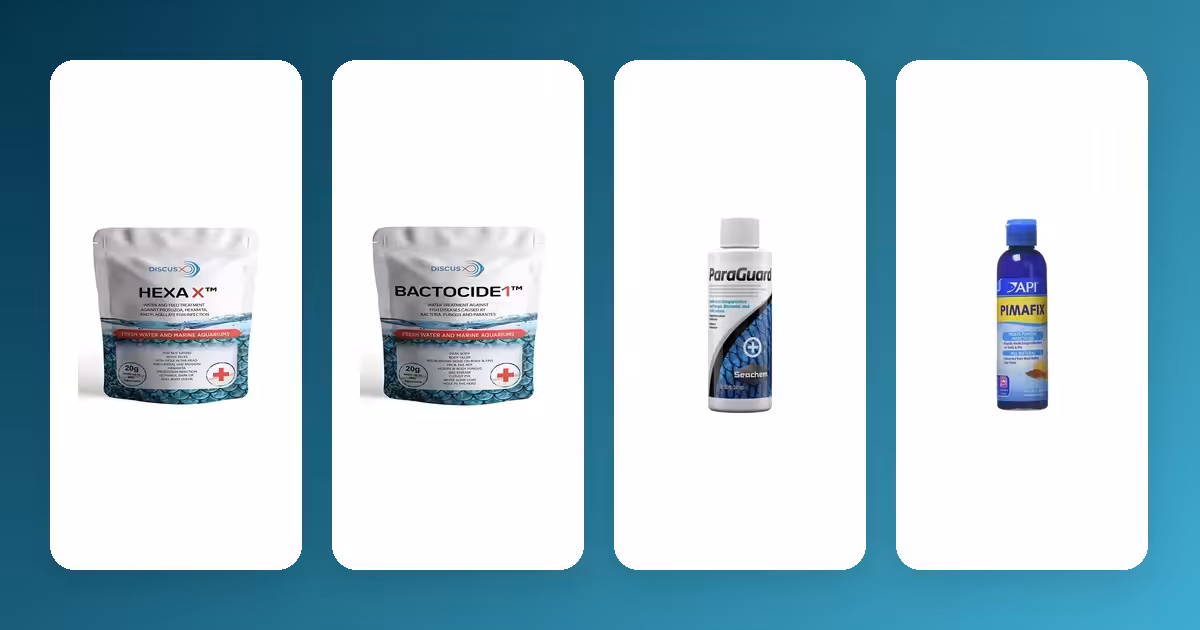 Freshwater Fish Disease & Medication Guide: Ich, Fungus, Fin Rot Freshwater Fish Disease & Medication Guide: Ich, Fungus, Fin Rot