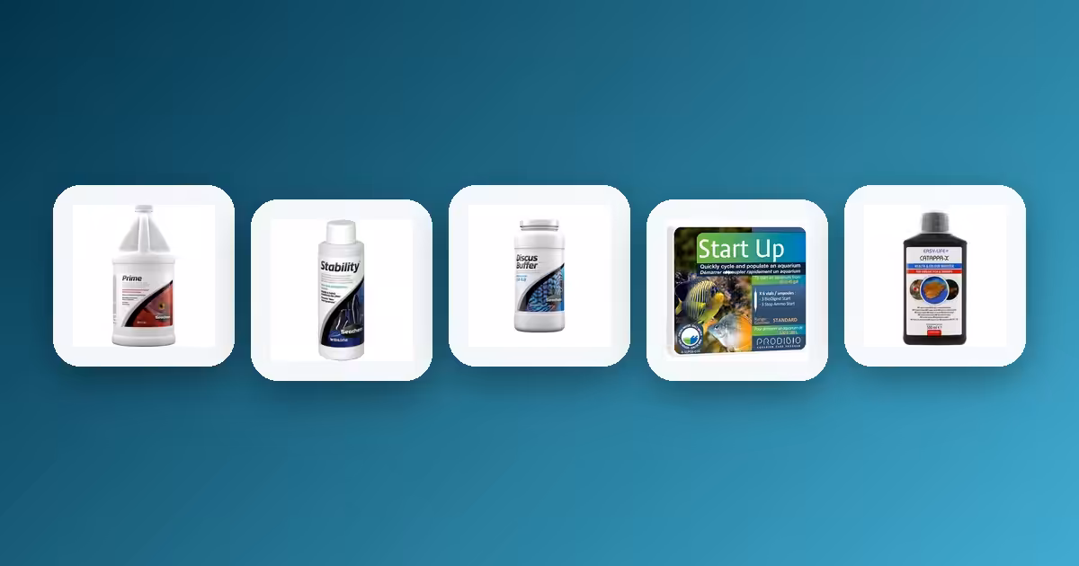Freshwater Water Conditioner Guide: Which One You Need Freshwater Water Conditioner Guide: Which One You Need