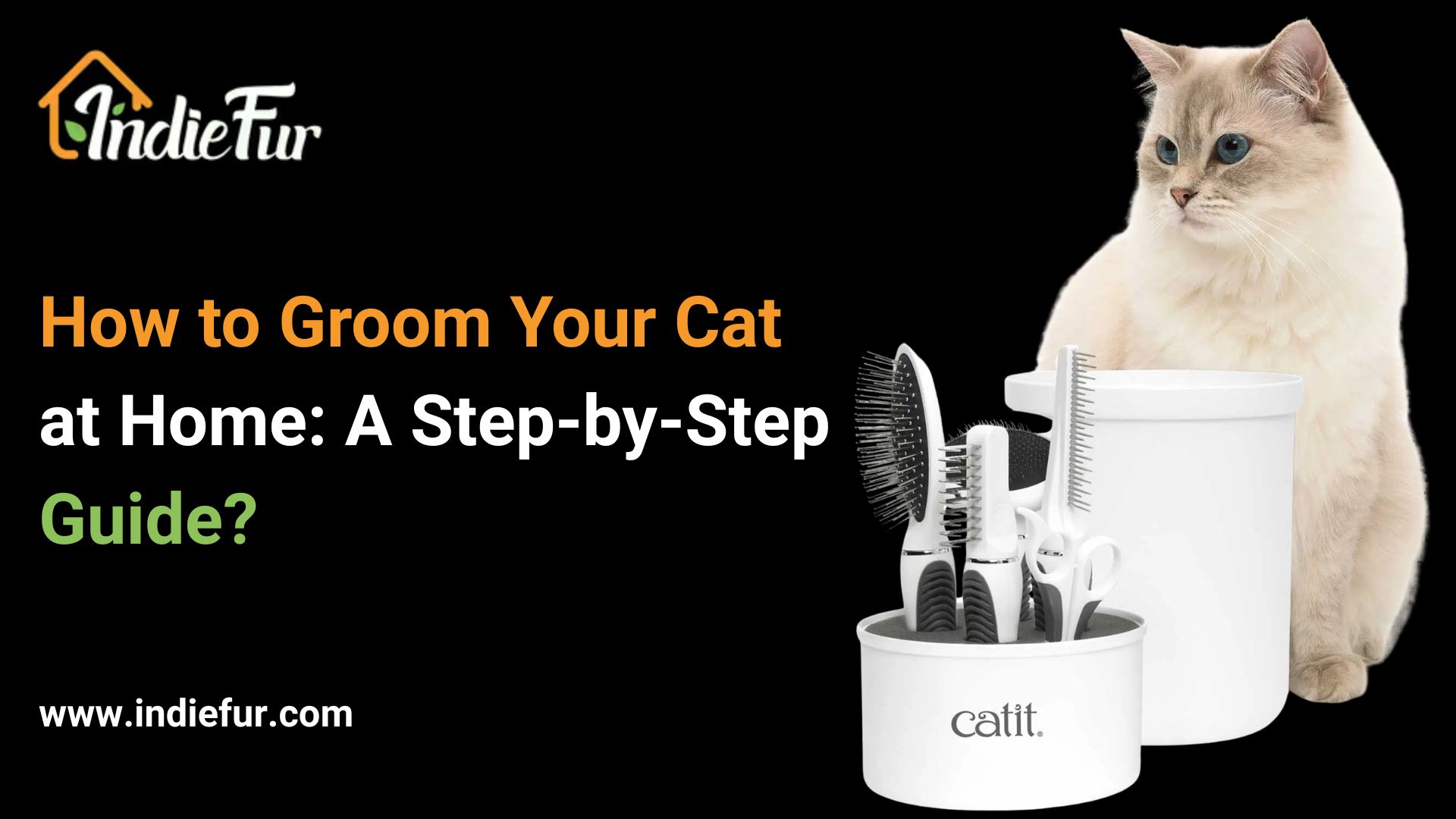 How to Groom Your Cat at Home: A Step-by-Step Guide? Groom Your Cat