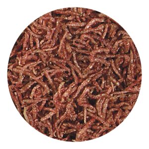 Hikari Bio-Pure Freeze Dried Blood Worms Fish Food