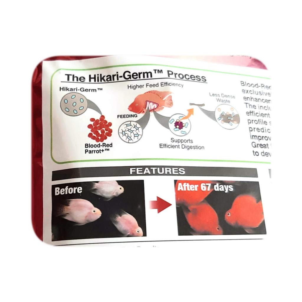 Hikari Blood Red Parrot Floating 333 Gm ( Mini Pellet ) Hikari Blood Red Parrot Floating 333 Gm ( Mini Pellet )