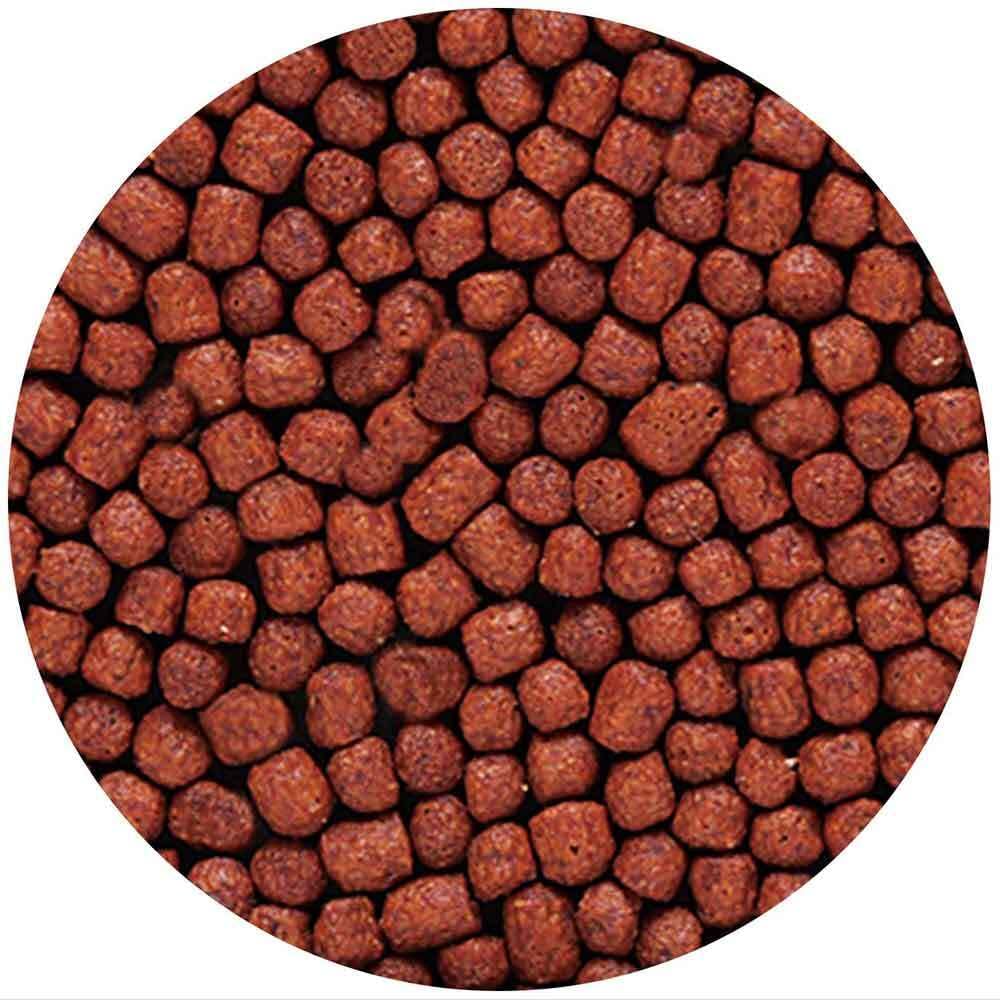 Hikari Blood Red Parrot Floating 600 Gm ( Mini Pellet ) Hikari Blood Red Parrot Floating 600 Gm ( Mini Pellet )