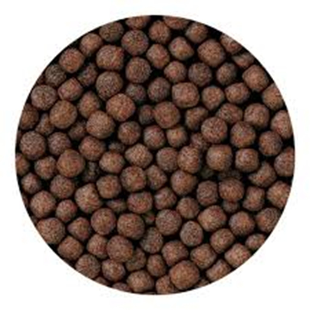 Hikari Cichlid Gold Baby 250 gm Hikari Cichlid Gold Baby 250 gm