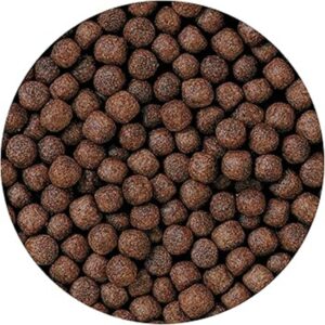 Hikari Cichlid Staple 250 gm Large
