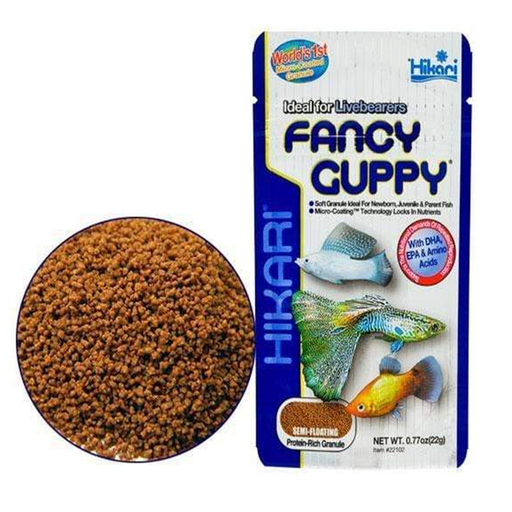 Hikari Fancy Guppy Hikari Fancy Guppy