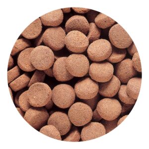 Hikari Massivore Delight 1 Kg