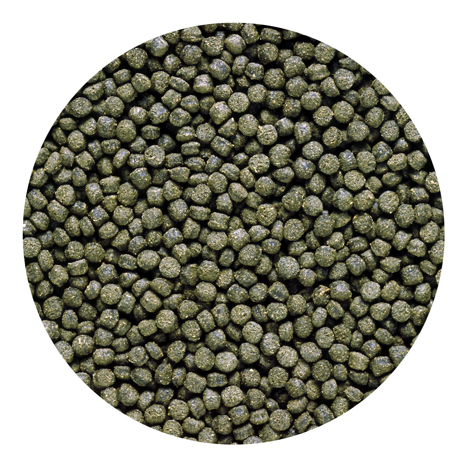 Hikari Sinking Cichlid Excel 100 gm Hikari Sinking Cichlid Excel 100 gm