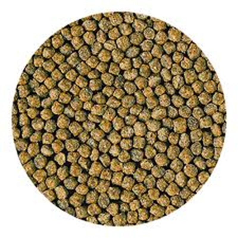 Hikari Staple Baby Pellet 300 Gm ( Baby Pellet )