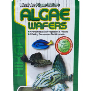 Hikari Tropical Algae Wafers 40 Gm