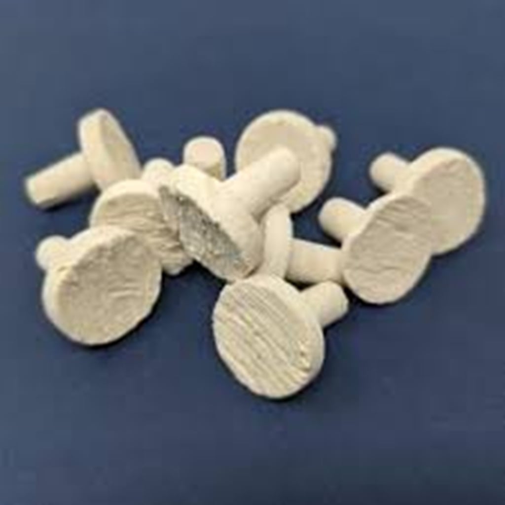 ISTA Coral Frag plug 10 pcs ISTA Coral Frag plug 10 pcs