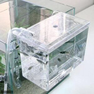 ISTA Hang-on Breeding Box