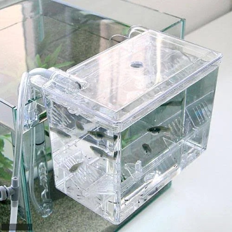 ISTA Hang-on Breeding Box