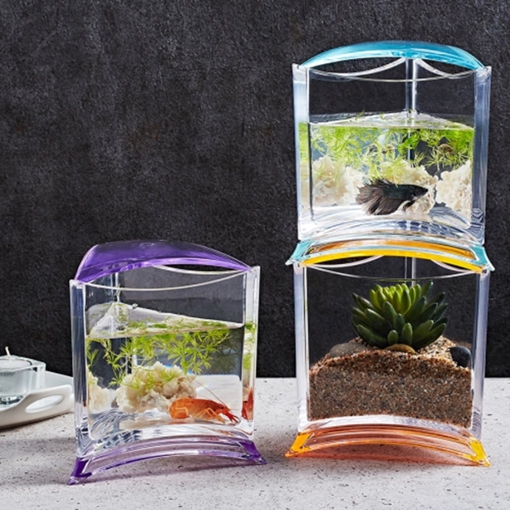 ISTA Stylish Display Case With Light ISTA Stylish Display Case With Light 2