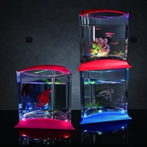 ISTA Stylish Display Case With Light
