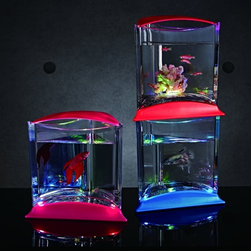 ISTA Stylish Display Case With Light ISTA Stylish Display Case With Light