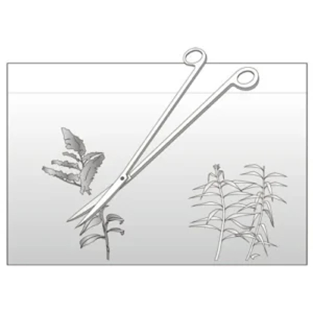 ISTA Water Plant Scissors ISTA Water Plant Scissors