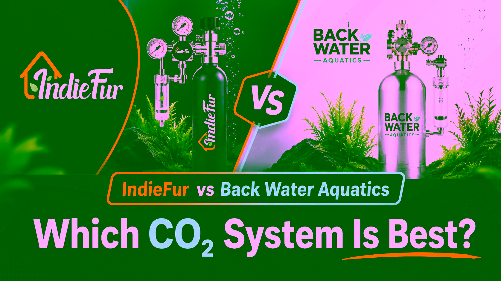 IndieFur vs Back Water Aquatics