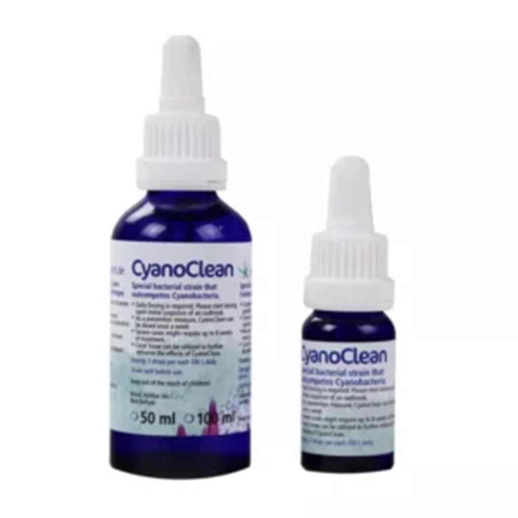 Korallen Zucht CyanoClean 50 ml Korallen Zucht CyanoClean 50 ml