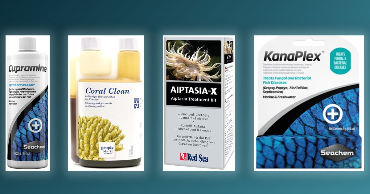 Seachem Cupramine, Tropic Marin Coral Clean, Red Sea Aiptasia-X, and Seachem KanaPlex arranged against a teal gradient background