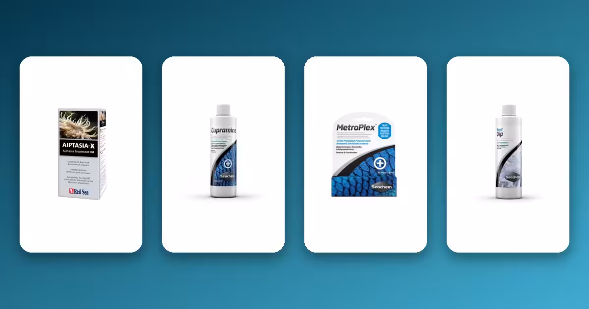 Marine Aquarium Medicine & Quarantine Guide: What to Stock Marine Aquarium Medicine & Quarantine Guide: What to Stock