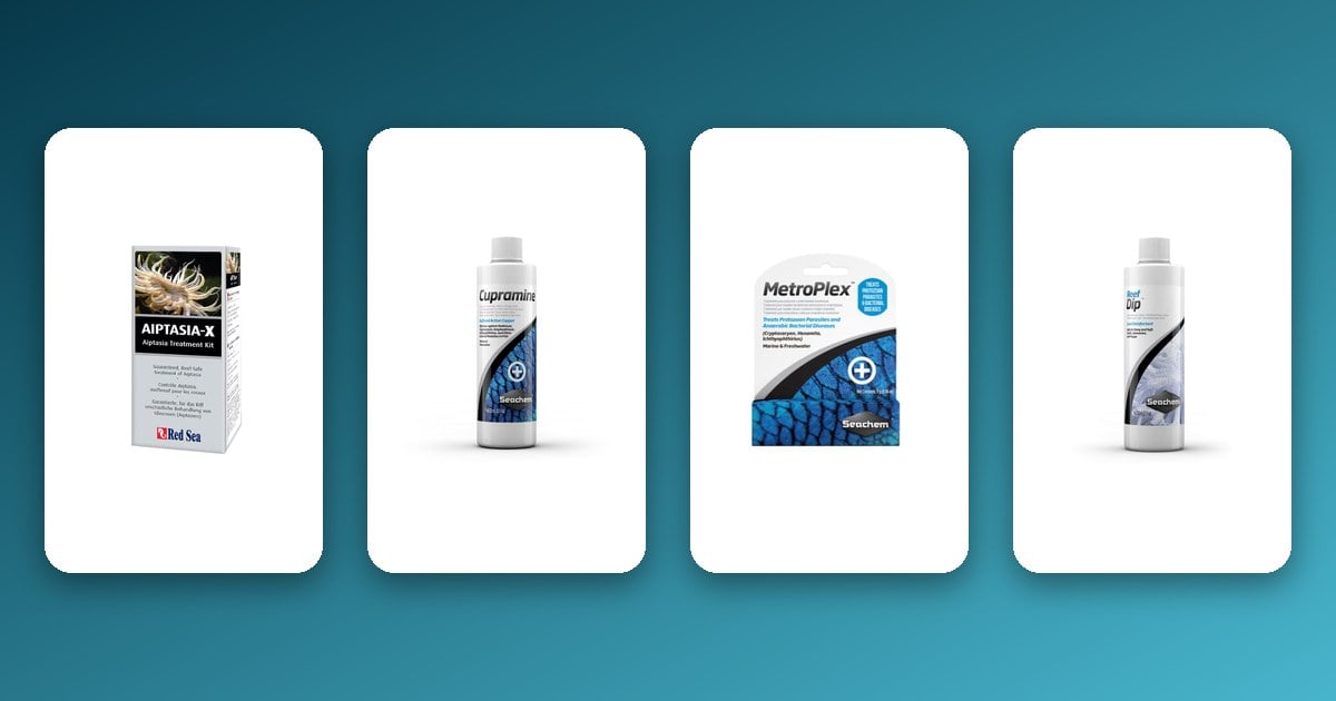 Marine Aquarium Medicine & Quarantine Guide: What to Stock Marine aquarium medicine and quarantine guide featured image showing Red Sea Aiptasia-X, Seachem Cupramine, Seachem MetroPlex and Seachem Reef Dip on a teal aquarium gradient background