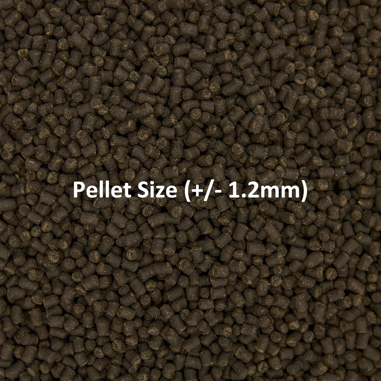 Ocean Nutrition Formula 2 Marine Pellet Small 200 Gm Ocean Nutrition Formula 2 Marine Pellet Small 200 Gm