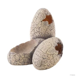 ExoTerra Dinosaur Eggs Hide and Water Dish