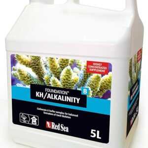 Red Sea Foundation B 5 Litres