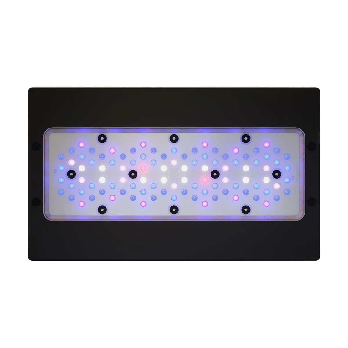 Radion XR30 G6 Blue LED Light - EcoTech
